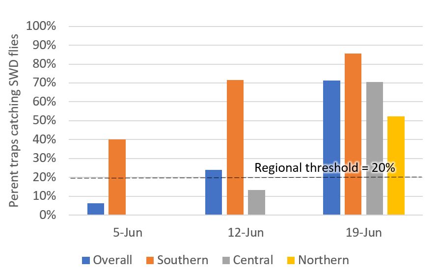 Percent traps that caught SWD overall and by region